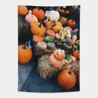 Pumpkins and Gourds Union Square NYC Tapestry