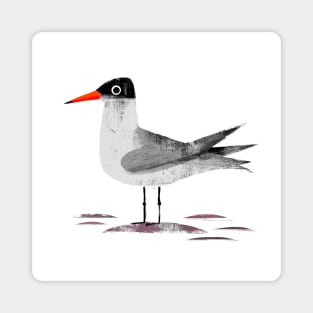 Caspian Tern Magnet