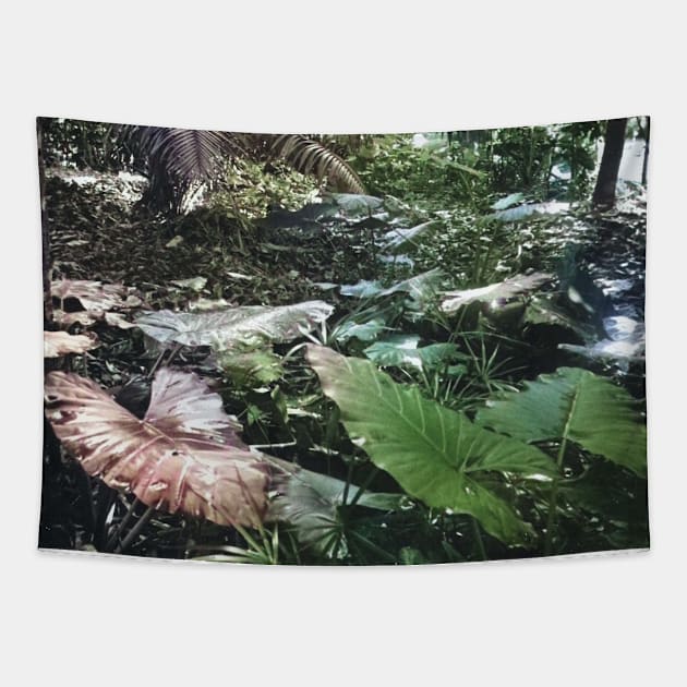 colorized vintage photo of tropical plants Tapestry by In Memory of Jerry Frank