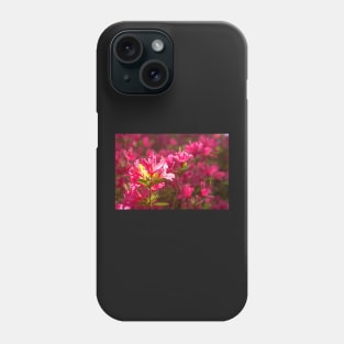 Pink Azalea Flowers Phone Case