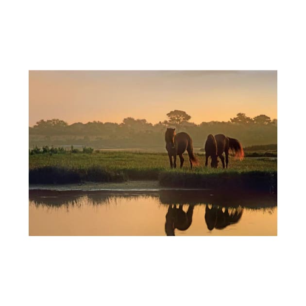 Wild Horse Pair Grazing At Assateague Island National Seashore by AinisticGina