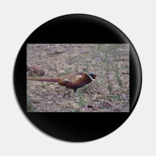 Pheasant Pin