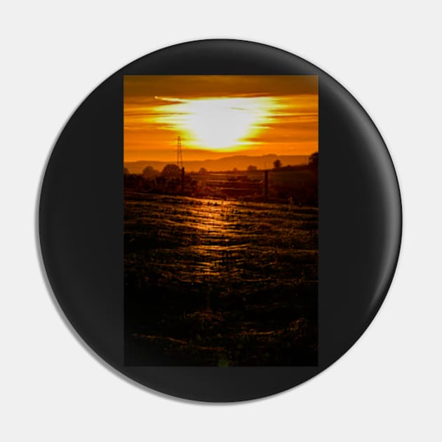 Spiderling gossamer sunset Pin by heidiannemorris