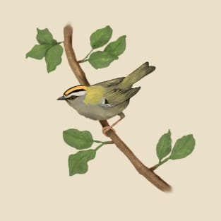 Common firecrest digital drawing T-Shirt