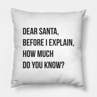 DEAR SANTA BEFORE I EXPLAIN HOW MUCH DO YOU KNOW Pillow