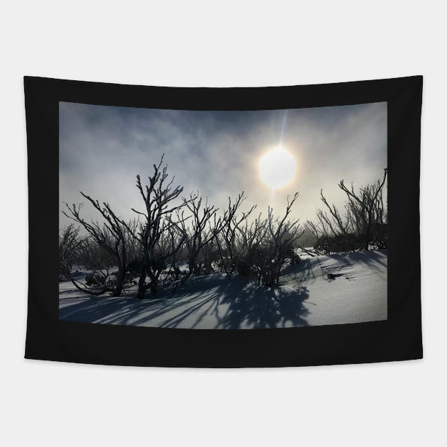 Snow Gum Ghosts Tapestry by ajdesignsau