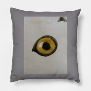 Crazy Bird eye Pillow