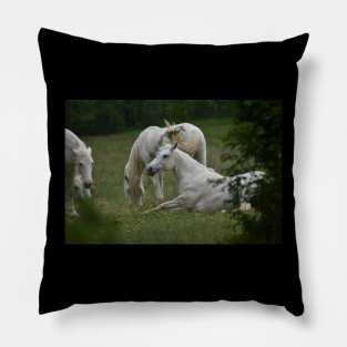 Wild Horses Pillow