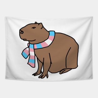 Capybara and Transgender Pride Flag Scarf Tapestry