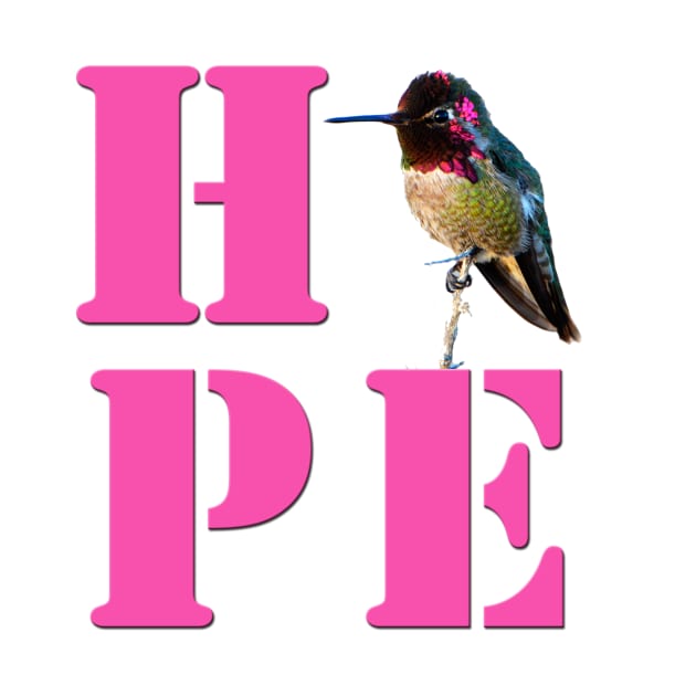 HOPE - Anna's Hummingbird Photo by DeniseBruchmanPhotography