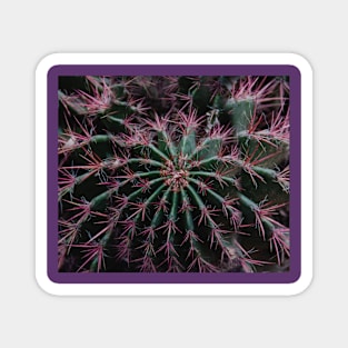 cactus Magnet