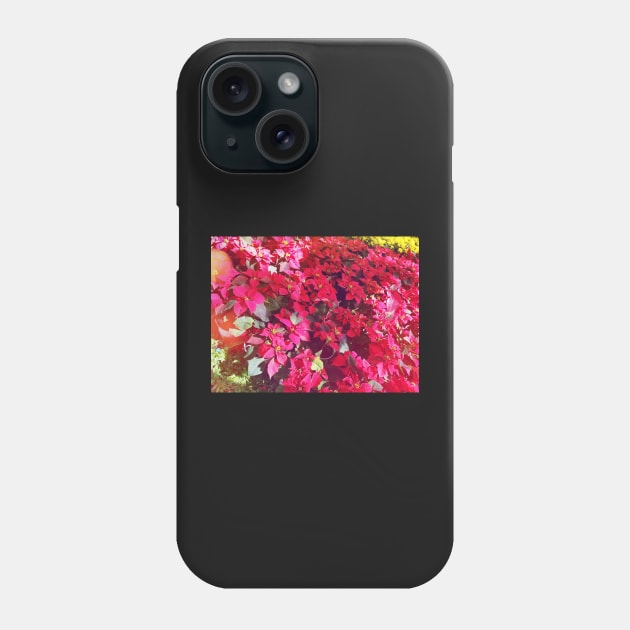 Poinsettia Phone Case by yphien