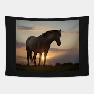 Sunset Delight Tapestry