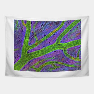 Retina blood vessel (P424/0240) Tapestry