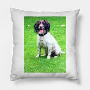 Brock wet dog Pillow