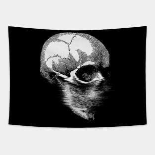 Exclusive/Original † VHS Glitch Skull † Psychedelic Graphic Design Tapestry