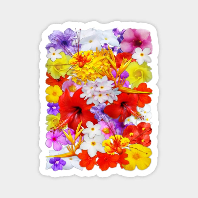 Exotic Flowers Colorful Explosion Magnet by BluedarkArt