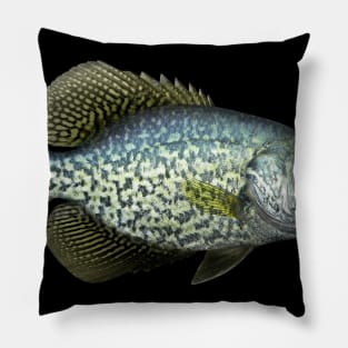 Black Crappie Pillow