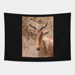 Hartebeest Tapestry