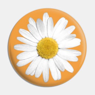 White Marguerite Daisy Flower Pin