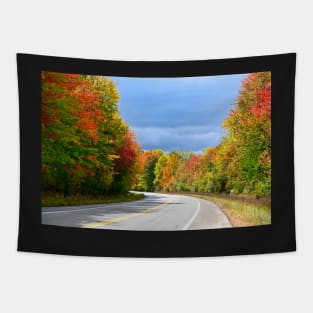 winding road in the park Tapestry