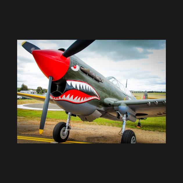 P-40 Warhawk by GregThompson