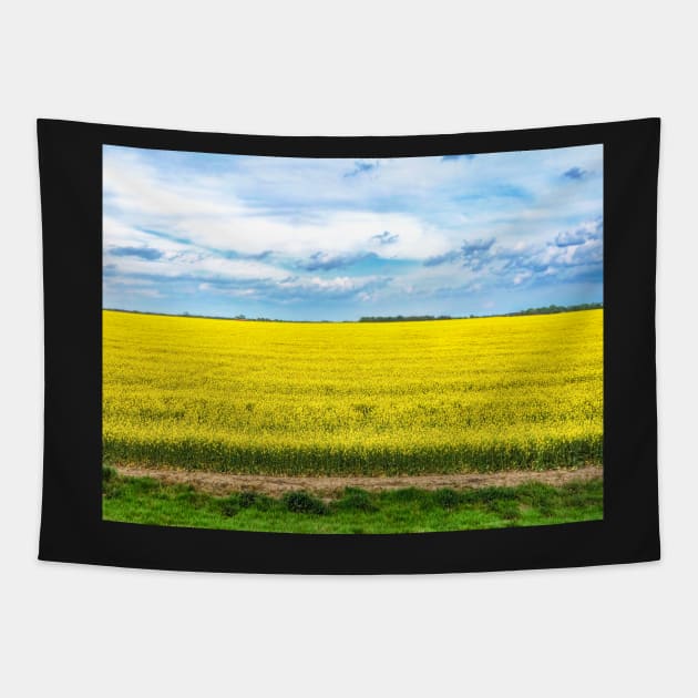 Yellow Canola Field landscape photography Tapestry by art64