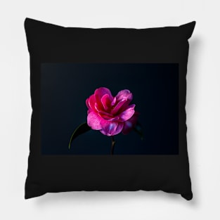 Pink camellia flower Pillow