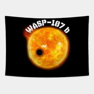 WASP-107-b Tapestry