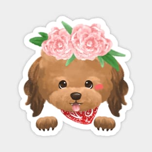 Brown Poodle wearing carnation flower headband Magnet