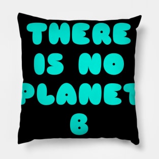 PLANET B 16 Pillow