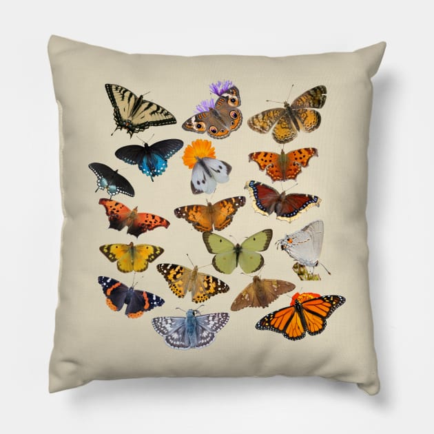 New England Butterflies Pillow by Electric Mermaid