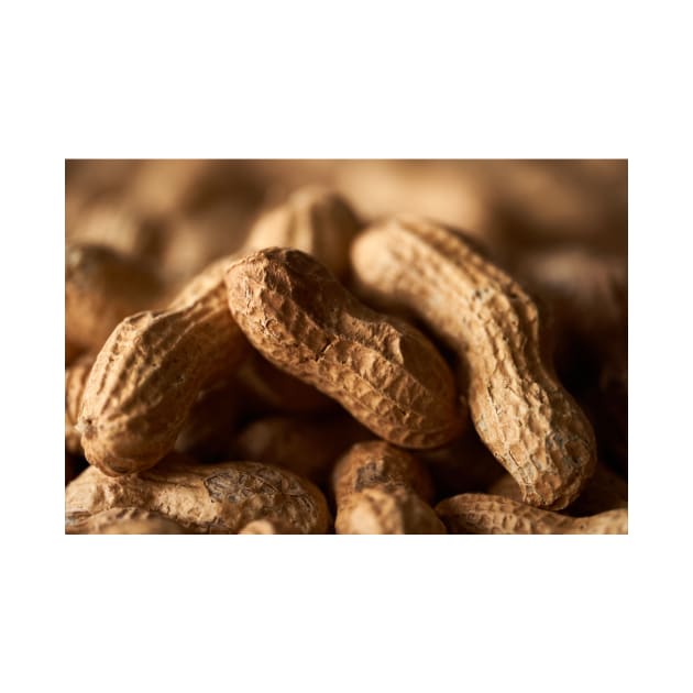 Dried whole peanuts by naturalis