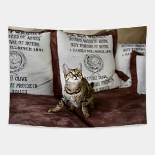 Savannah cat Tapestry