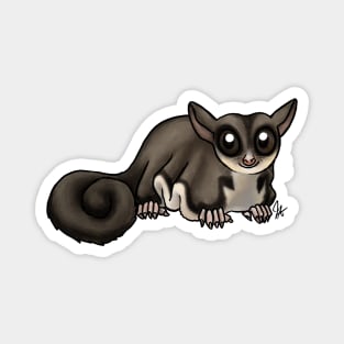 Mammal - Sugar Glider - Black Beauty Magnet