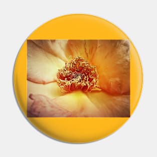 yellow rose Pin