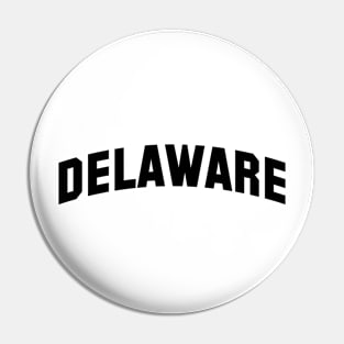 Delaware Pin