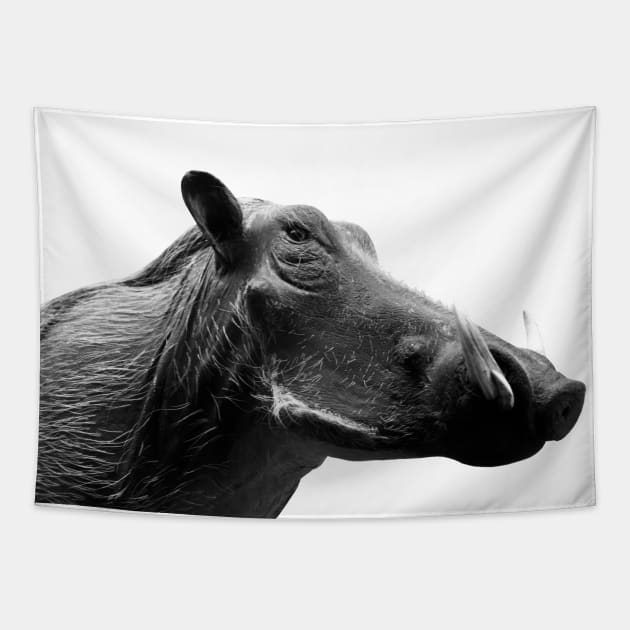 Warthog Tapestry by Wolf Art / Swiss Artwork Photography