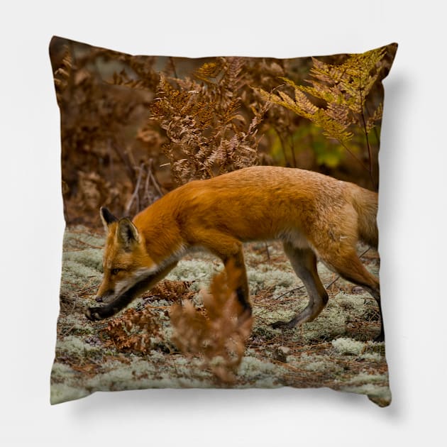 Red Fox Pillow by jaydee1400