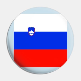 Slovenia flag Pin