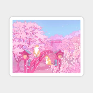 The Japanese  shrine, cute cats, and pink sakura blossom Magnet