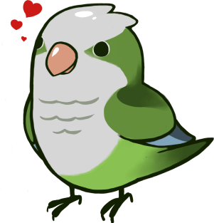 Quaker Parrot 1 Magnet