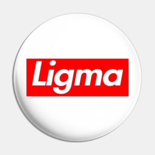 Ligma Box Logo Pin