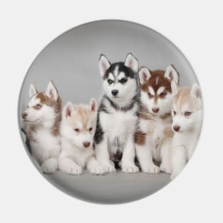 Six Huskies Pin