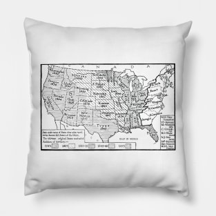 United States Historical Map Pillow