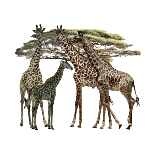 Giraffe - Family on Safari in Kenya / Africa by T-SHIRTS UND MEHR