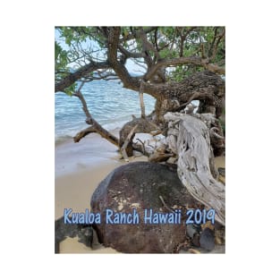 Kualoa Ranch Hawaii 2019 T-Shirt