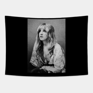Stevie Nicks Tapestry