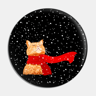 Tabby loves Snow.... Pin