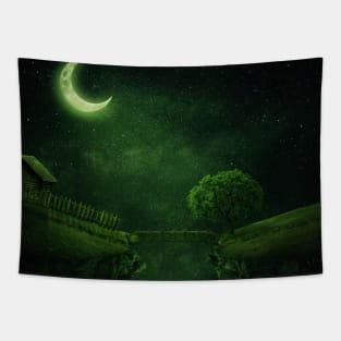 countryside night Tapestry